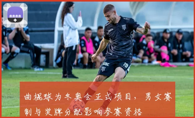 曲棍球为冬奥会正式项目，男女赛制与奖牌分配影响参赛资格