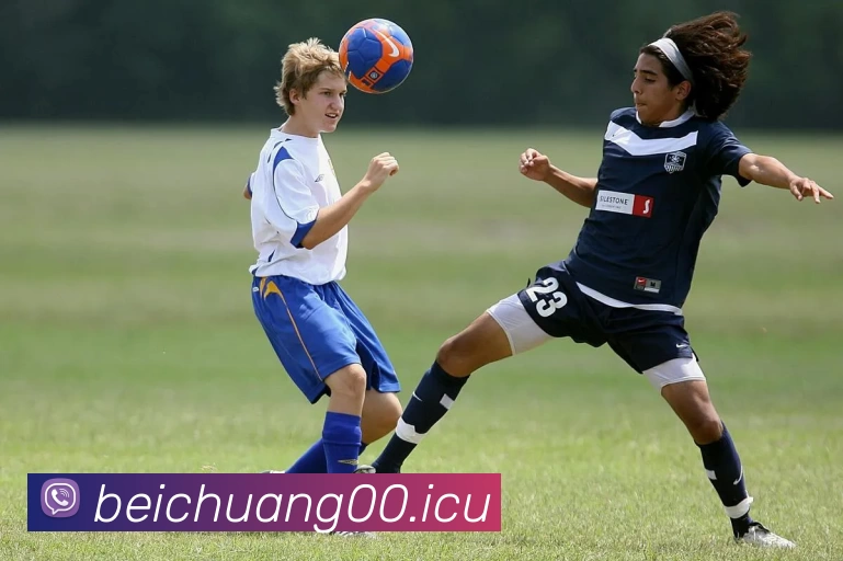 milan米兰官方网站 - 米兰(中国)平台生态图